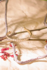 Emerald Cut Lab Grown Diamond Bezel Tennis Bracelet - Infinite Gems Limited